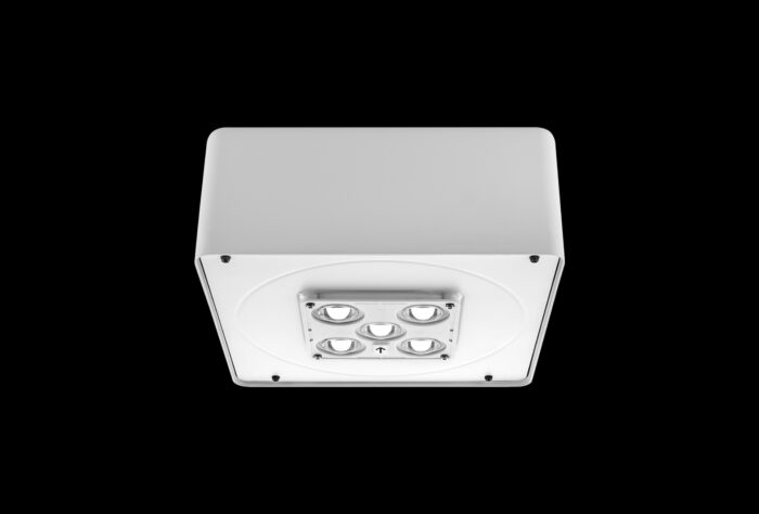 Cree Lighting Square LED